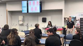Pelvic Floor Physical Therapy Overview