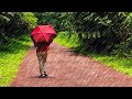 4K Rain Walk : A Quiet, Lonely, Thunderstorm Afternoon at Gardens by The Bay, Singapore Walk 343