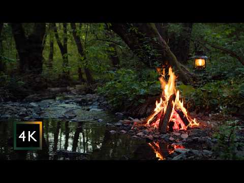 Hidden Forest Campfire by the Stream — Deep Green Nature | Winding Down Ambience (4K)