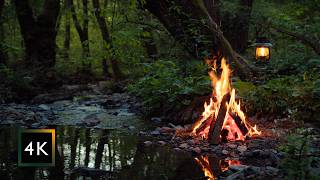 Hidden Forest Campfire by the Stream — Deep Green Nature | Winding Down Ambience (4K)