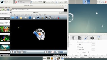 ps3 debian 9.4.0?(sid)