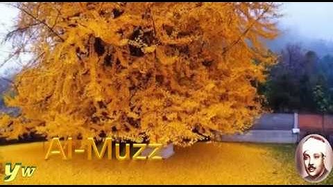 73  Al Muzzammil   سورة المزمل القارئ عبد الباسط عبد الصمد