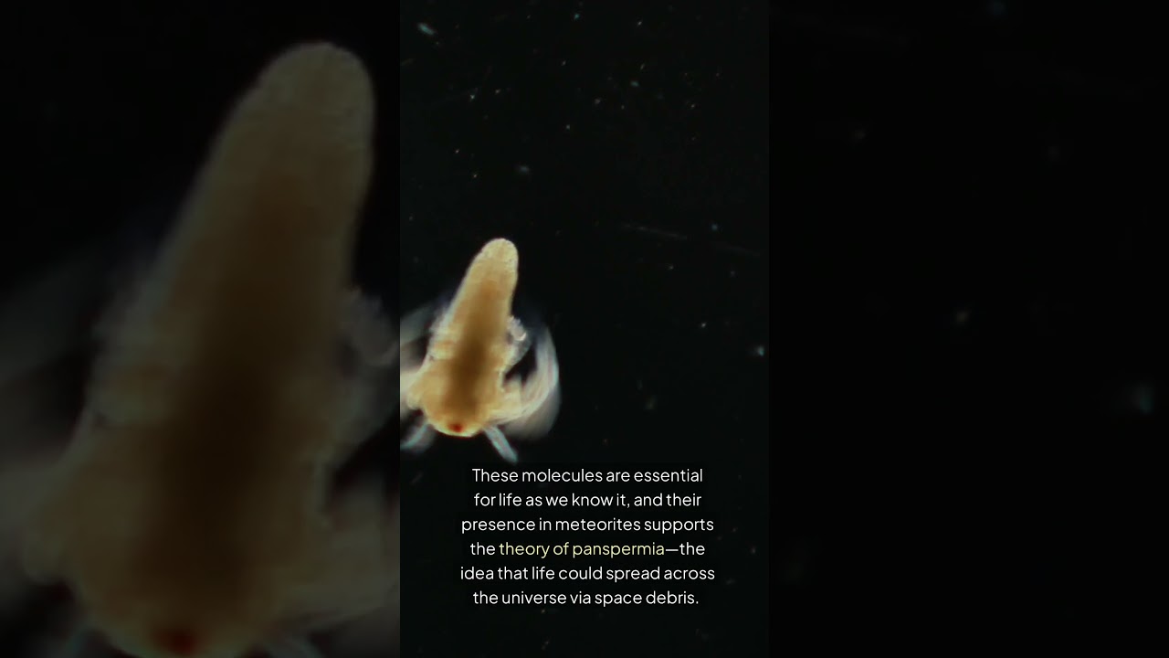 Organic Molecules in Space: Life’s Building Blocks