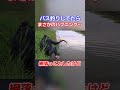 バス釣りしてたらまさかのハプニング！