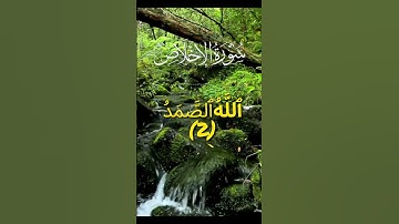 سورة الاخلاص بتجويد اسلام صبحي ❤️❤️