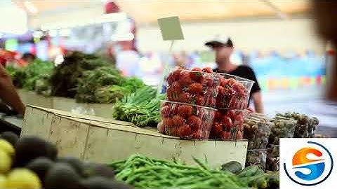 Speed Plus 9.0 :Referal  Point  System Genrate more clients 4 ur Business  www.solversolutions.in