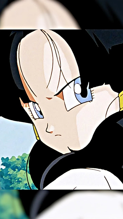 Videl Meets Chi-Chi For The First Time😂