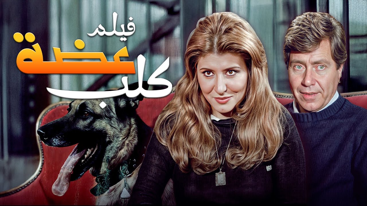 كوميديا كلاسيكية مع حسين فهمي، سهير رمزي، وسمير غانم!😂