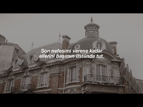 Sufjan Stevens - Mystery of Love (Türkçe Çeviri)