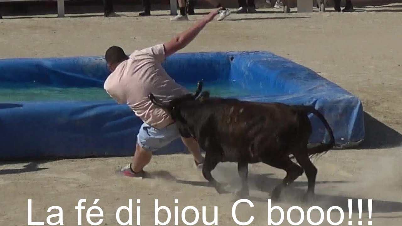 le Grau du  Roi ▶taureaux piscine◀ 06.09.2025.