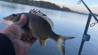 NSW fishing mid north coast Forster: Lake Wallis