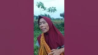 seketbor sunda || salah ngumumkeun si euceu