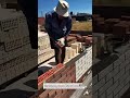 Precision Brick Veneer Installation with Alignment System 🧱 #Masonry #Construction #Bricklaying