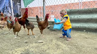 Bibi farmer enliste to take care of the chickens when grandma goes to the market