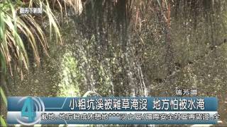 1040527觀天下新聞HD04 瑞芳區小粗坑溪被雜草淹沒 地方怕被水淹