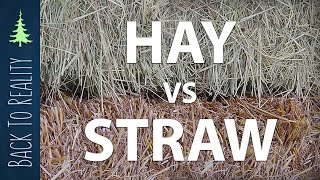 Know your garden mulch: Hay vs Straw