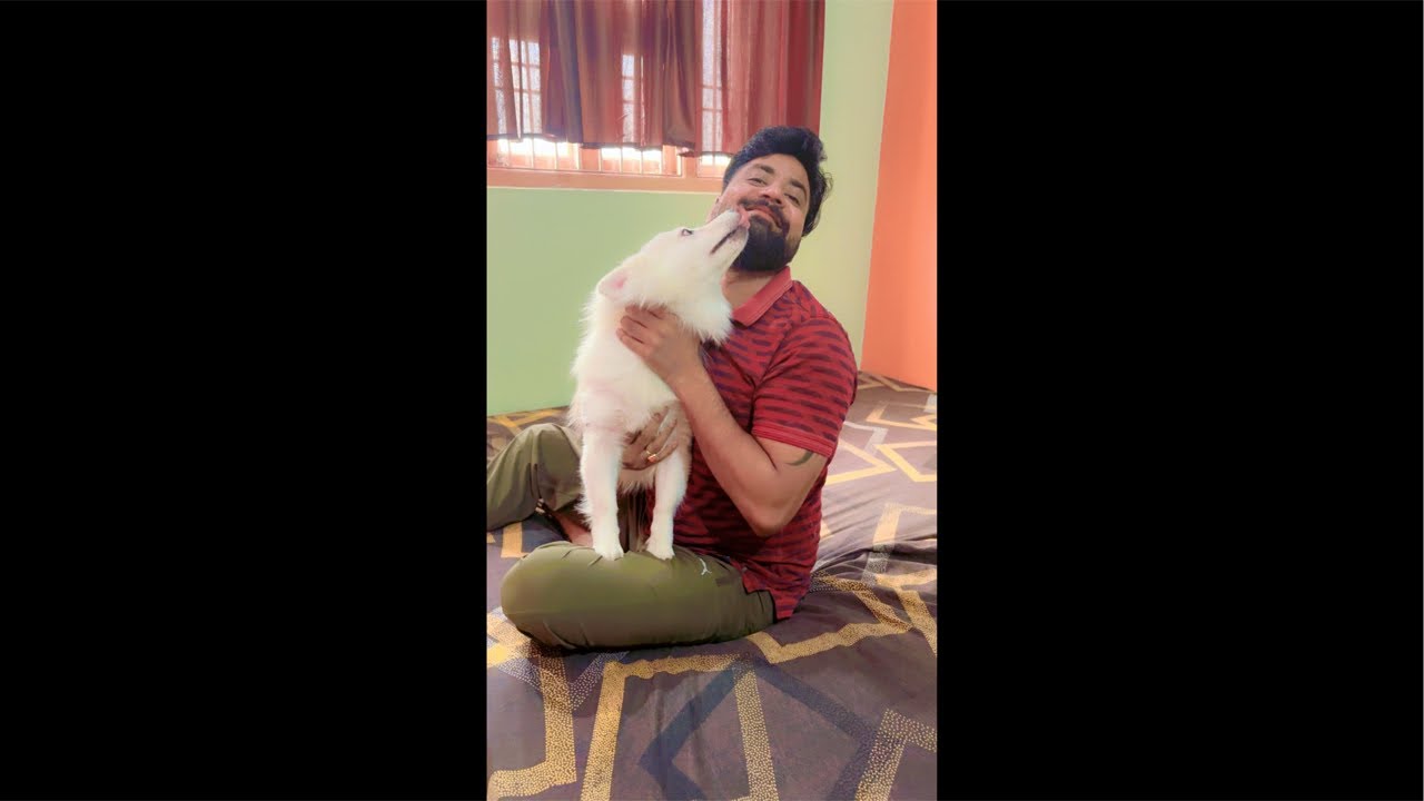 Paw Love ❤️ Now Live #doglife #live #pets