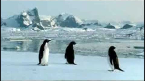 Sé Linux (subtitulos en español)  - Be Linux: everything is possible.