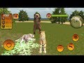 Wild Tiger Family Simulator (Episode 2) Tiger Jungle Survival - Android GamePlay