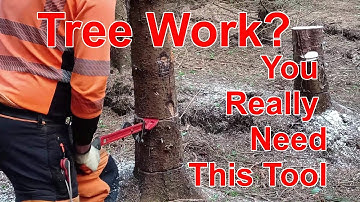 How to Use a Felling Lever in Tree Work ! How to Fell a Leaning Tree.