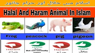 Halal and Haram Animal Meat in Islam | Halal and haram animals | #halalvsharam #halalandharammeat