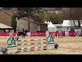 Poney à vendre - GRAND PRIX AS ELITE COYOTTE GIRL DU GARON - Vidéo 3 - equirodi.com