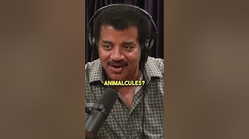 Leeuwenhoek The Microscope Guy 😅 w/ Neil deGrasse Tyson