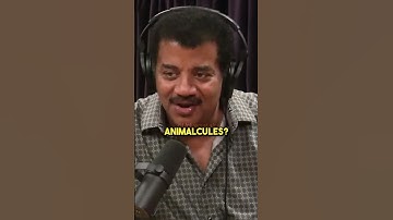 Leeuwenhoek The Microscope Guy 😅 w/ Neil deGrasse Tyson