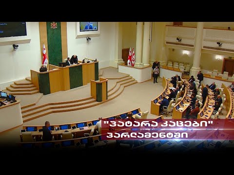 \"პატარა კაცები\" პარლამენტში | \"ოცნების\" წევრების შეურაცხმყოფელი განცხადებები საკანონმდებლო ორგანოში