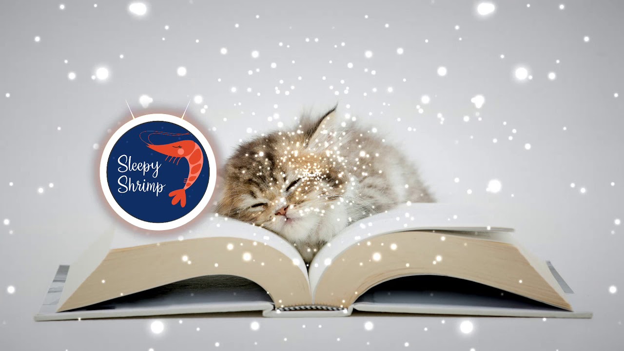 Sleepy Shrimp - Vigilance over math book (Instrumental Music for ...