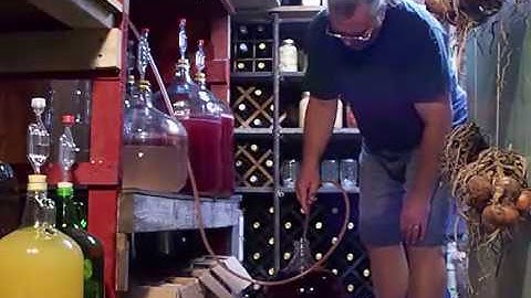 Making Concord Wine Part 2