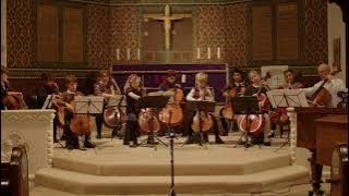 Walking in the Air by Howard Blake (cello ensemble)