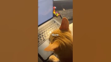 Save time, skip the typing 🙌