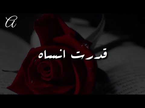 احلي حالة واتس لأغنية وفات قد اية عمرو دياب 