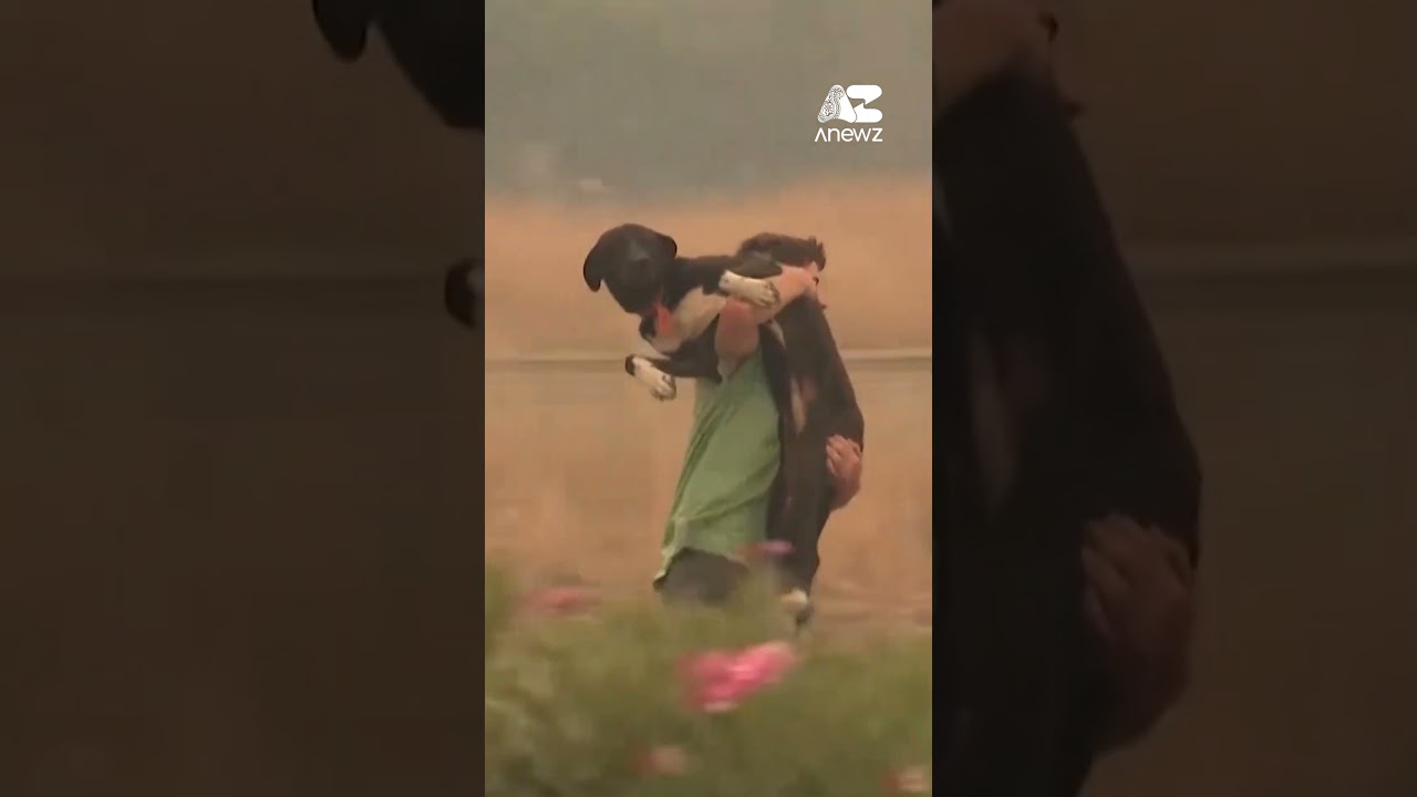 Two die in Türkiye fires, mystery group claims arson