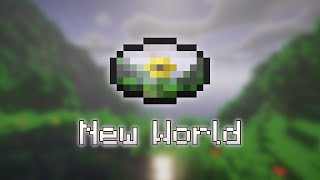 New World - Fan Made Minecraft Music Disc