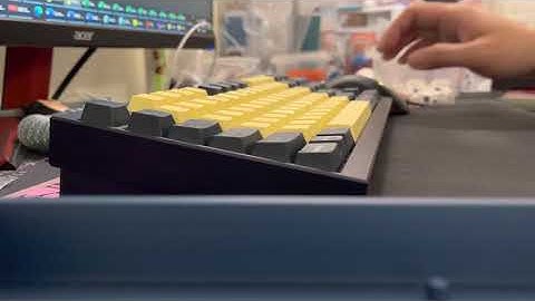 Translucent Yok Holy Pandas Sound Test