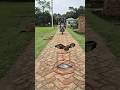 See how the motorcycle was stolen😮😮 #viral #funny