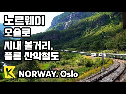 노르웨이 여행-오슬로 [Norway Travel-Oslo] 시내 투어, 플롬 산악철도/Oslo Royal Palace/Viking Ship/Flam/Kjosfossen Falls