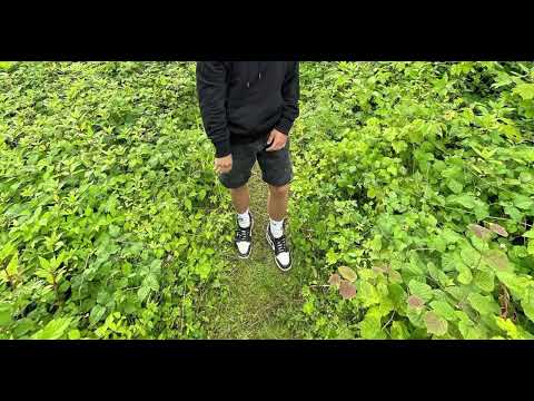 Viktor Sheen - Ohnivej kruh (fka remix)