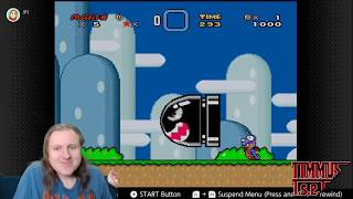 Play TSET: Live - Streamer Mario World