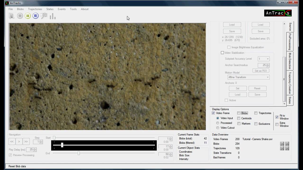 AnTracks Demonstration - Video Stabilization