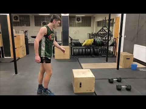 SL Box Step Up Jump - YouTube
