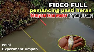 Full video of Experimental fishing for wader with banana bait