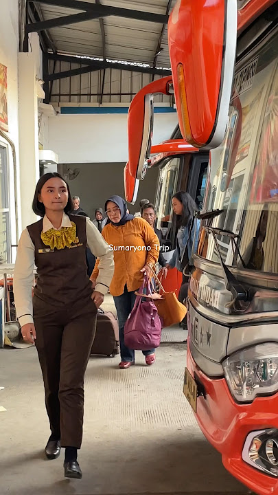 Hampir ke jedot, pramugari tinggi bus Rosalia Indah | #busmania #rosaliaindah #pramugarirosaliaindah