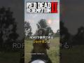 RDR2の細かすぎるショットガンの弾の小ネタ【レッドデッドリデンプション2】