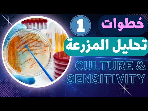 41 كيفية عمل تحليل المزرعة  و انواع العينات المستخدمة