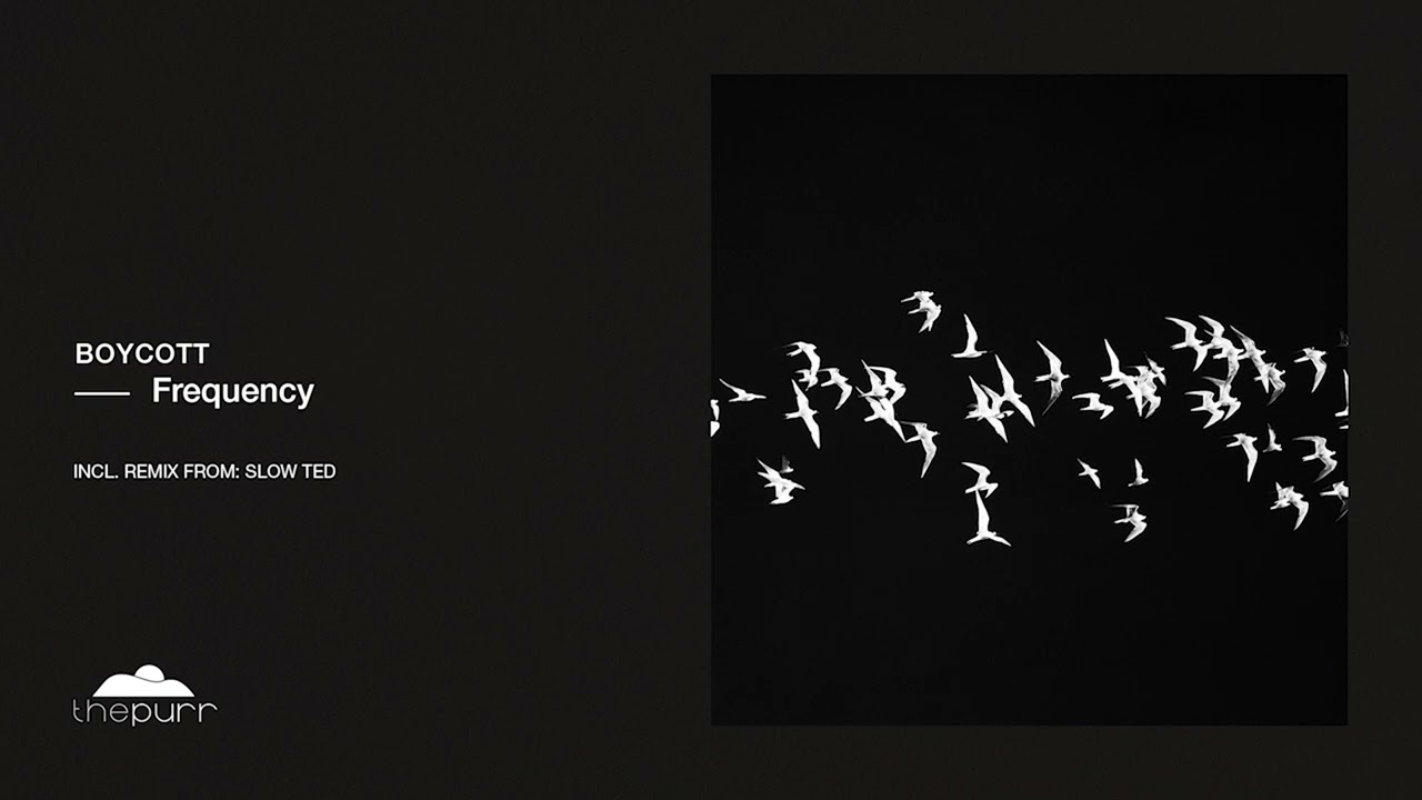 Boycott - Frequency (Original Mix)