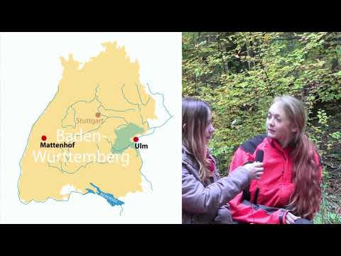 Forstwirt Landratsamt Alb-Donau-Kreis