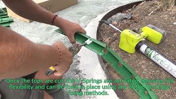 Cutting VertEdge along curves and circles 2023